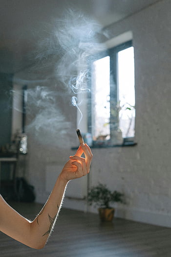 palo santo, ruka hospodářství, hořící hůl, kouř, Slunce zalité vnitřní, klidný obraz, vnitřní prostor, přirozené světlo, Aromatické dřevo, duchovní praxe, všímavost