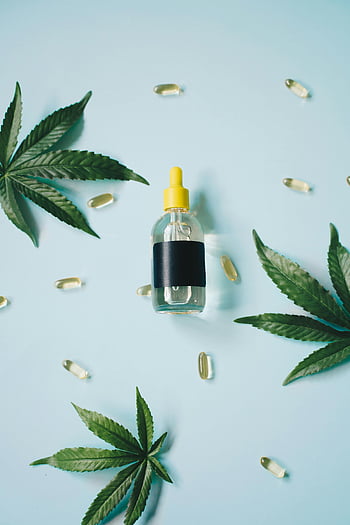 زجاجة زيت CBD،  قبعة صفراء،  أوراق القنب،  كبسولات،  وضع مسطح،  خلفية زرقاء فاتحة،  زجاجة واضحة،  المكملات العشبية،  علاجات طبيعية،  منتجات العافية،  الطب البديل