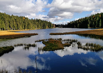 velké jezero arber, bavorský les, jezero, velký arber, Bavorský Ejzenštejn, přírodní rezervace, bavaria, Německo, les, Příroda, krajina