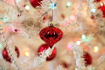 Noel dekorasyonu, kırmızı süsleme, beyaz yılbaşı ağacı, renkli ışıklar, kapatmak, şenlikli, tatil, canlı kırmızı, ağaç süslemesi, tatil dekoru, Noel ışıkları