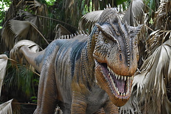 t-rex、 恐竜、 像、 示す、 先史時代、 ティラノサウルス・レックス、 動物、 博物館、 アロサウルス、 白亜紀、 ヘルマンパーク