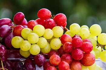 winogrona, owoc, grupa, winogrono, świeże owoce, świeży, świeże winogrona, żniwa, produkty, bio, dojrzały