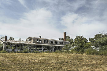 šedá betonová budova, Obklopen stromy, stará průmyslová budova, Zchátralá struktura, Příroda, opuštěné budovy, průmyslové ruiny, venkovní scénu, architektonický úpadek, Venkovské prostředí, Zarostlá vegetace