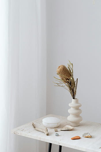 neutral still life, dry plant, vase, stones, desk, serene still life, white background, driftwood, table, minimalist decor, white vase