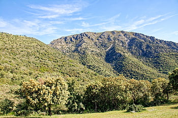 Espanha, Andaluzia, Província de Cádiz, Puerto de Las Palomas, Sierra de Grazalema, Parque Natural, panorama, montanhas, Colina, verde, nuvens
