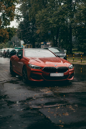 Červené kupé BMW, mokré ulice, stromy, zaparkované auto, červené vozidlo, stylové auto, městské scény, deštivý den, asfaltová silnice, fotografování automobilů, automobilového designu
