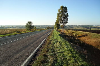 Droga, Ukraina, jesień, niebo, krajobraz, Natura, transport, podróże, drogi, sposób, ranek