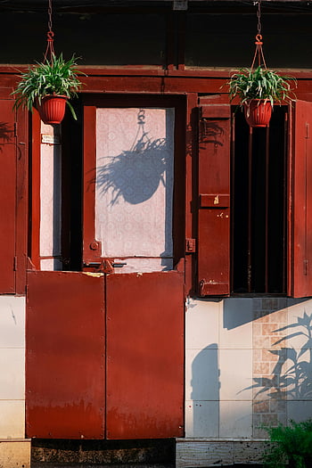 bangunan terlantar, tanaman gantung, pintu merah, pesona pedesaan, mumbai, jendela, bayangan, kerusakan kota, detail arsitektur, dekorasi luar ruangan, pot tanaman