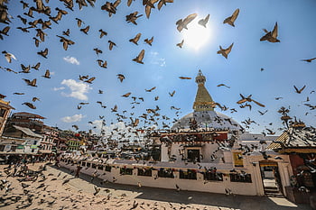 boudhanath stupa, kathmandu, Nepál, létajících ptáků, jasné modré nebe, holuby, buddhistický chrám, Stupa Architecture, kulturní památka, cíl cesty, duchovní místo