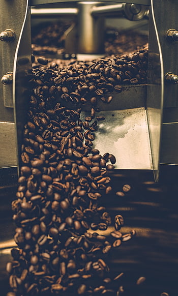 kavárna, káva, napít se, pohár, kofein, kávový šálek, espresso, cappuccino, hnědý, horký, čerstvý