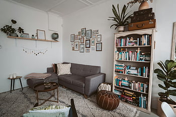 salon, nowoczesna sofa, półka na książki, rośliny ozdobne, szara kanapa, przytulne wnętrze, półki na książki, Wygodny salon, rośliny doniczkowe, wystrój domu, nowoczesny salon