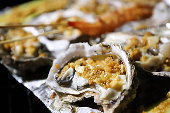 oysters, barbecue, sea Food, meal, dish, preparation, cuisine