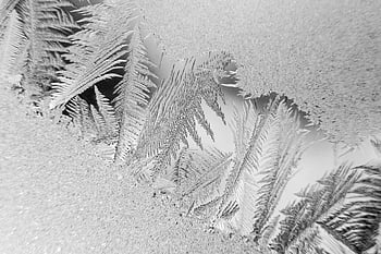 macro photography, snowflakes, frozen patterns, window frost, intricate designs, winter textures, close-up photography, frosty window, detailed macro, ice crystals, cold weather art
