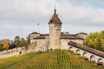 castle, fortress, landmark, schaffhausen, switzerland, city, middle Ages, historical Site, vineyards, fall
