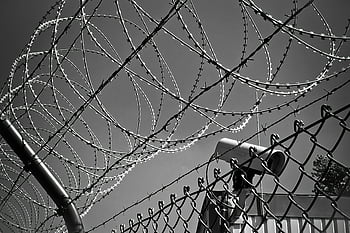 grayscale photo, barbed wire, black and white, security camera, protection, surveillance, fence, prison, confinement, safety, monochrome