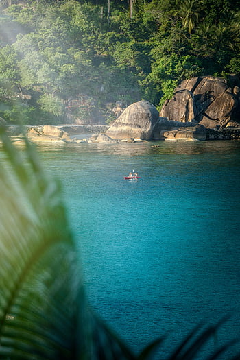 Båd på roligt vand, kajakroeren, Tranquil Tropical Bay, frodig grønt, Klar blåt farvande, tropiske landskab, roligt vand, ro kajak, Tropical Bay, Rolige farvande, naturlandskab