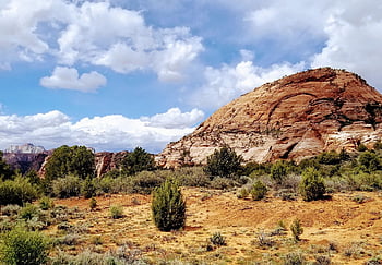 Utah, Sion, paesaggio, natura, panoramico, all'aperto, montagne, arenaria, escursioni a piedi, scenario, natura selvaggia