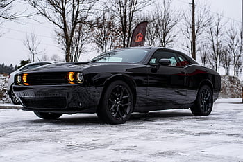 black Dodge Challenger, snow-covered driveway, winter scene, snowy driveway, black car, winter car, snow, driveway, winter vehicle, black vehicle, winter parking