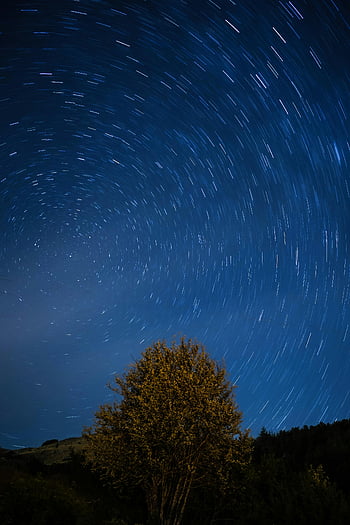 stersporen, nachtelijke hemel, eenzame boom, landelijk Italië, timelapse, boeiende, nachtfotografie, sterrenhemel, nacht landschap, boom silhouet, sterrenpatronen