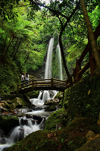 wooden bridge, waterfalls, tropical forest, lush green forest, rustic bridge, peaceful scene, waterfall view, forest setting, natural scenery, greenery, outdoor landscape