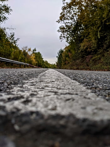 road, pavement, concrete, nature, asphalt, roadway, trees, landscape, countryside, street