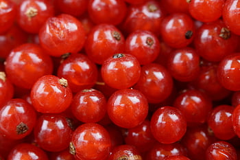 red currants, vibrant close-up, ripe red currants, glossy shine, food photography, red round fruit, small fruit, red berries, close-up photography, fruit photography, red currant berries