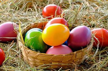easter Eggs, eggs, multicoloured, painted, meal, food, easter, easter Time, basket