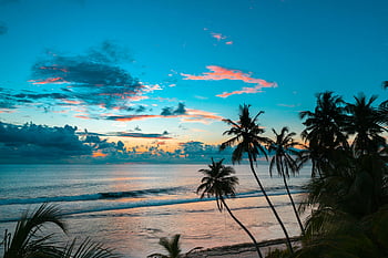 غروب الشمس،  شاطئ استوائي،  fuvahmulah،  جزر المالديف،  أشجار النخيل،  المحيط النابض بالحياة،  جسد مائي،  منظر خلاب،  ألوان المحيط،  غروب الشمس على الشاطئ،  غروب الشمس الاستوائي