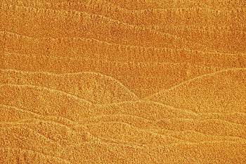 textura, Pozadí, písek, Příroda, suchý, žlutá, povrch, makro, pláž, moře, abstraktní