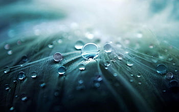 gocce d'acqua, tessuto grigio, colpo del primo piano, piuma, focalizzazione morbida, illuminazione delicata, macrofotografia, fotografia naturalistica, perle d'acqua, trama tessile, luce naturale