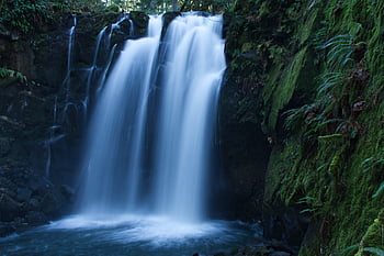 waterfall, forest, stream, trees, nature, river, water, landscape, splash, environment, flowing