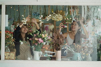 ดอกไม้, ร้านดอกไม้ร่าเริง, เคาน์เตอร์แสนสบาย, ร้านขายดอกไม้, ดอกไม้แห้งที่มีชีวิตชีวา, การจัดดอกไม้, ร้านดอกไม้ที่มีความสุข, ร้านตกแต่ง, ดอกไม้แห้ง, แสดงดอกไม้, หน้าต่างร้านค้า