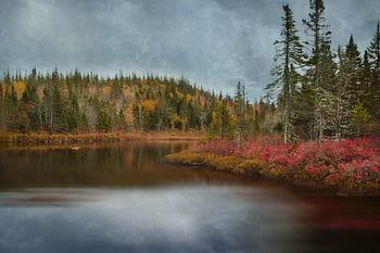 autumn, lake, landscape, nature, water, colors, reflection, trees, fall leaves, leaves, fall