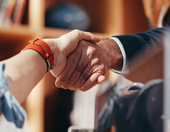 handshake, people shaking hands, business agreement, close-up image, two people, symbolizing agreement, professional handshake, business handshake, formal greeting, partnership, collaboration