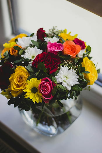 mums, rose flower, clear glass vase, centerpiece, beside glass window, floral arrangement, colorful bouquet, indoor flowers, window sill decor, vibrant flowers, floral display