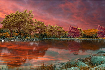 lago, arvores, por do sol, rochas, banco, reflexão, agua, pedras, floresta, natureza, crepúsculo