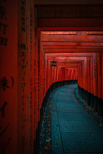 fushimi inari svatyně, kyoto, Red Torii Gates, tradiční chrám, tunel, Japonsko, ikonický, svatyně, cestovat, kultura, architektura