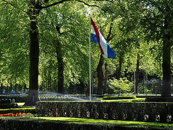remembrance Day, field Of Honor, cemetery, serene, victims, country Estate, surrounded, war Memorial