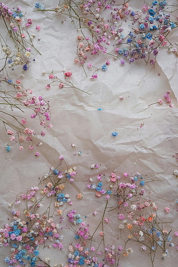 colorful dried flowers, white paper, aesthetic arrangement, pastel palette, crumpled paper, dried flower art, floral composition, soft colors, decorative flowers, flat lay photography, floral still life