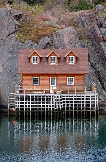 newfoundland, quidi, vidi, st, john's, harbor, nature, harbour, water, house, piling