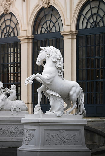 bílá socha koně, palác belvedere, Vídeň, Rakousko, historické budovy, Elegantní socha, venkovní socha, architektonické detaily, evropské umění, kulturní památka, mramorová socha