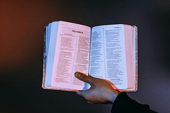person holding Bible, open Bible, Proverbs highlighted, warm light, religious text, spiritual reading, hand holding book, open book, religious book, Proverbs page, reading Bible