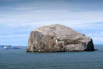 deniz, Kaya, fener, ada, gemi, şilep, okyanus, Bird Rock, doğa