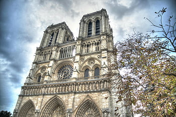 Cattedrale di Notre Dame, architettura gotica, Parigi, giorno, colpo basso angolo, Cattedrale, Francia, edificio storico, struttura religiosa, Punto di riferimento europeo, Chiesa iconica