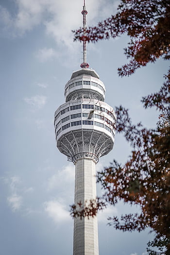 83 Tower, Daegu Tower, Daegu, Korea, autumn foliage, clear sky, vertical view, colorful leaves, landmark, observation tower, architecture