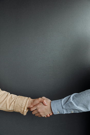 handshake, close-up, adults, agreement, partnership, two people, hands, business, greeting, collaboration, connection