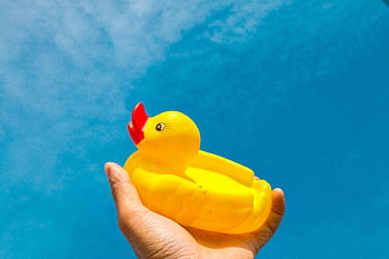 yellow duck, rubber duck, hand holding, clear blue sky, fun, playfulness, outdoor, summer, toy, water play, yellow toy