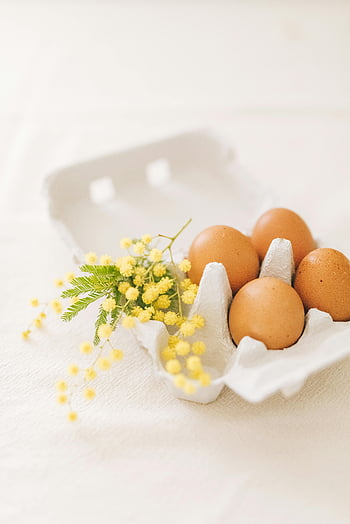 brown eggs, white egg carton, yellow mimosa flowers, spring still life, mimosa flowers, egg carton, spring symbol, still life photography, brown eggs in carton, mimosa spring, egg carton flowers