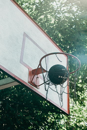 basketball, basketball hoop, chain net, outdoor hoop, trees, sunny day, basketball passing, outdoor basketball, chain net hoop, basketball in net, sunny outdoor basketball