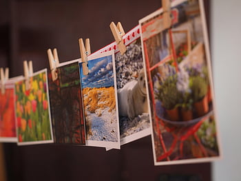 makro snímek, obrázky, Barevné fotografie, pohlednice, Dřevěné kolíky, Kreativní uspořádání, vnitřní displej, koláž fotek, Dekorativní fotografie, závěsné obrázky, Umělecké zobrazení